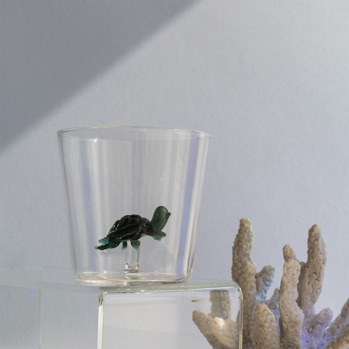 Glas mit Schildkröte | Ichendorf
