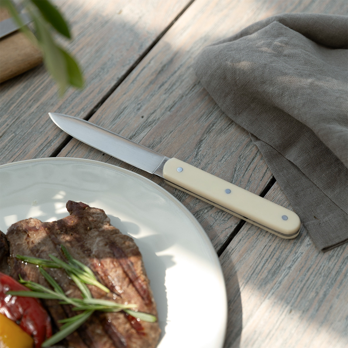 Steakmesser weiß | Bagotta