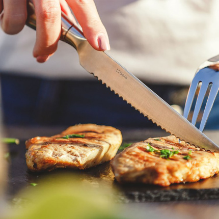 Steakmesser mit hohlem Griff 23,5 cm - Touch me