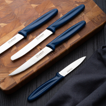Steakmesser 11,2 cm | Master Blue