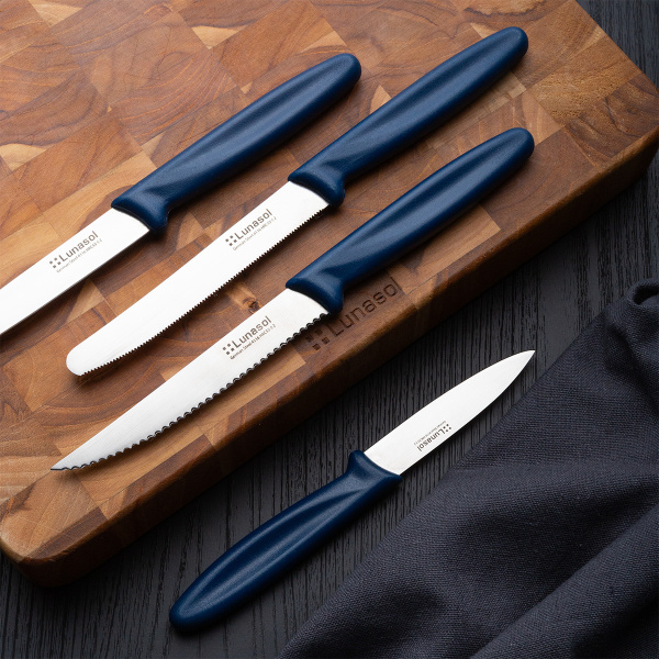 Steakmesser 11,2 cm | Master Blue