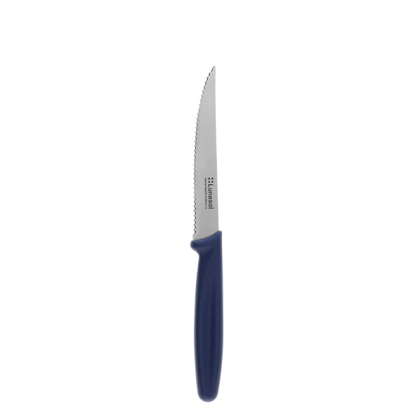 Steakmesser 11,2 cm | Master Blue